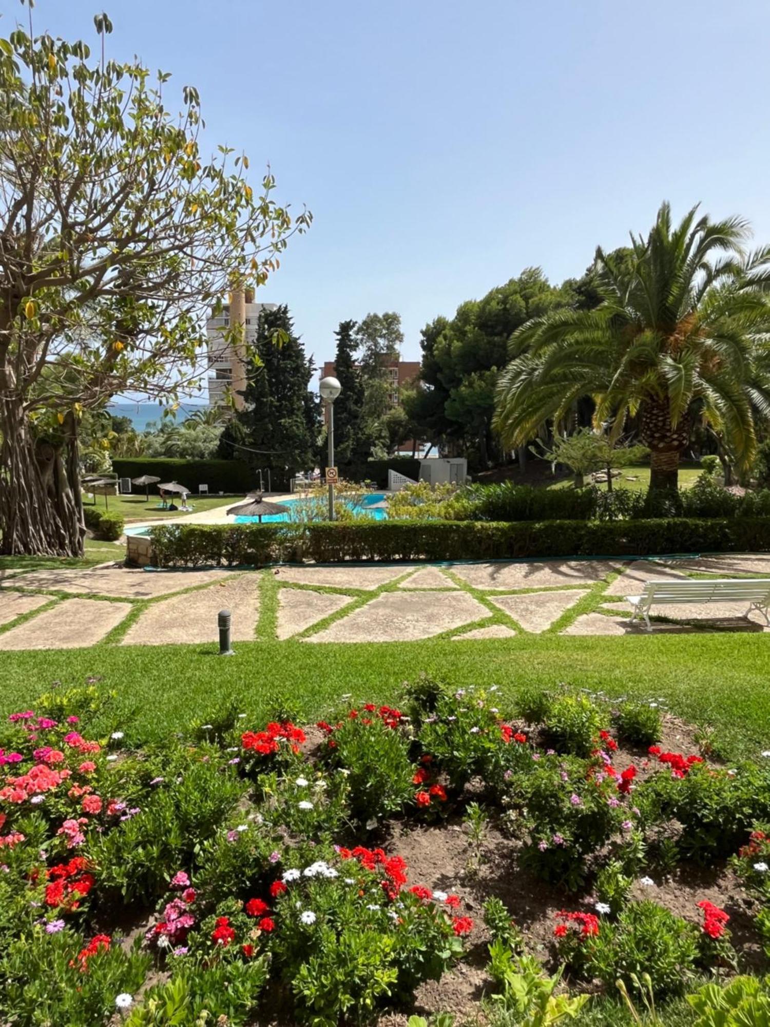Parque La Chicharra Near Alicante And Beach Екстер'єр фото
