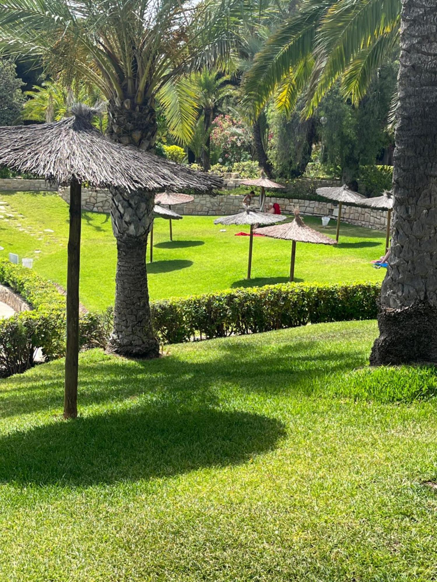 Parque La Chicharra Near Alicante And Beach Екстер'єр фото